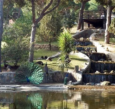 Plaza Porticada Guardamar del Segura